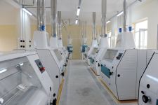 İlham Əliyev Şəkidə taxıl anbarı və dəyirman kompleksinin açılışında iştirak edib (FOTO)